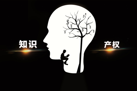 一般专利公开后多久授权